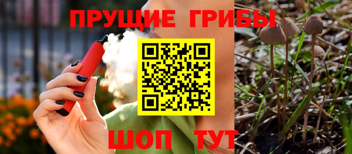 Дзержинский  Галлюциногенные грибы Psilocybine cubensis  Вход с VPN  Псилоцибиновые грибы прущие грибы 